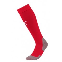 Team LIGA Socks CORE