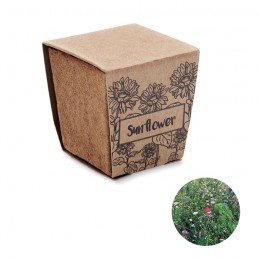 Kit de graines de tournesol